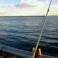 またまた行ってしまいました